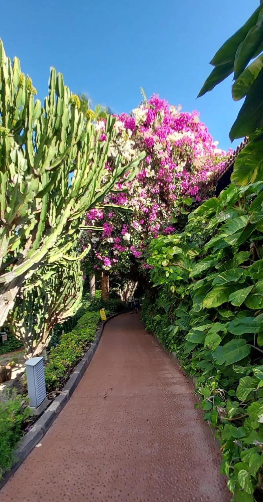 "Cathy'S Home"- Apart Luxury - Adult Only - Large Terrace Private Puerto de Santiago  Exteriér fotografie